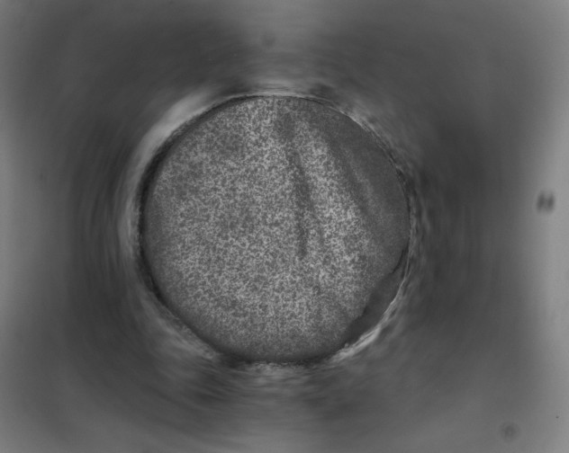 X0000101440343200808041220