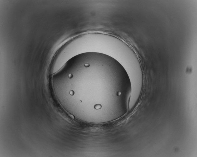 X0000101440344200808041220