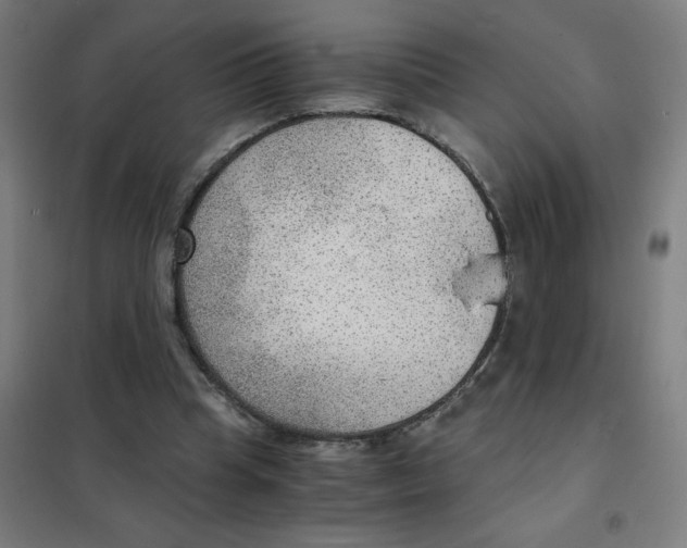 X0000101440345200808041220