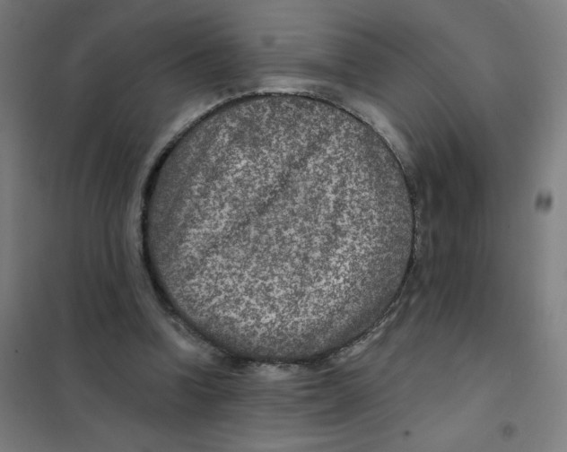 X0000101440346200808041220