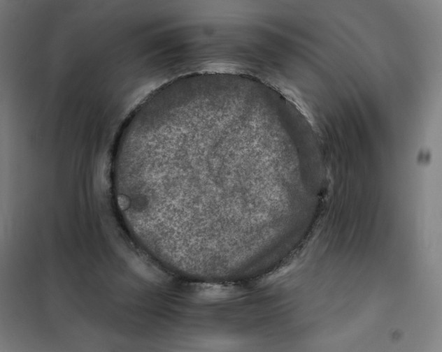 X0000101440347200808041220