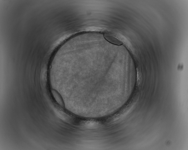 X0000101440348200808041220