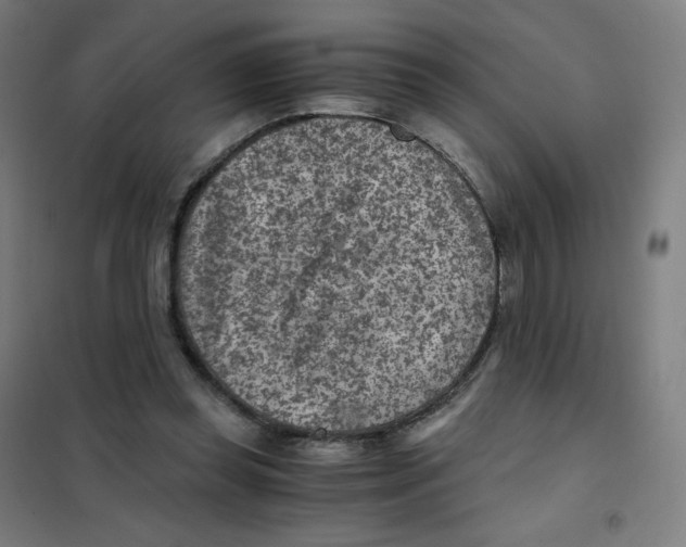 X0000101440349200808041220