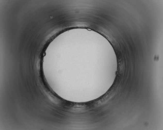 X0000101440350200808041220