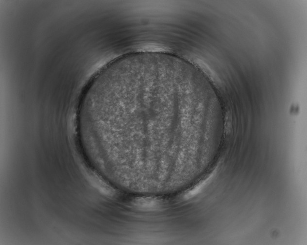 X0000101440351200808041220