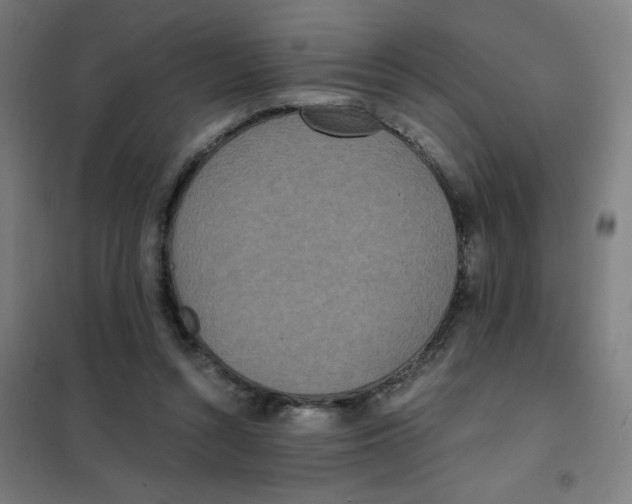 X0000101440352200808041220