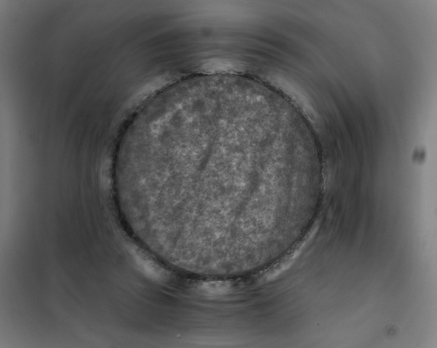 X0000101440353200808041220