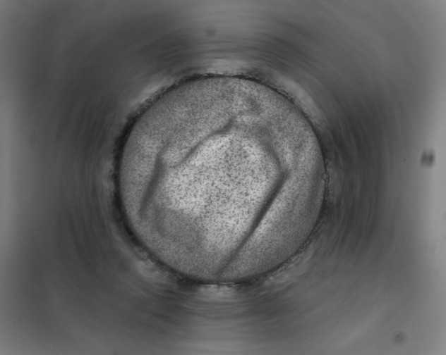 X0000101440354200808041220