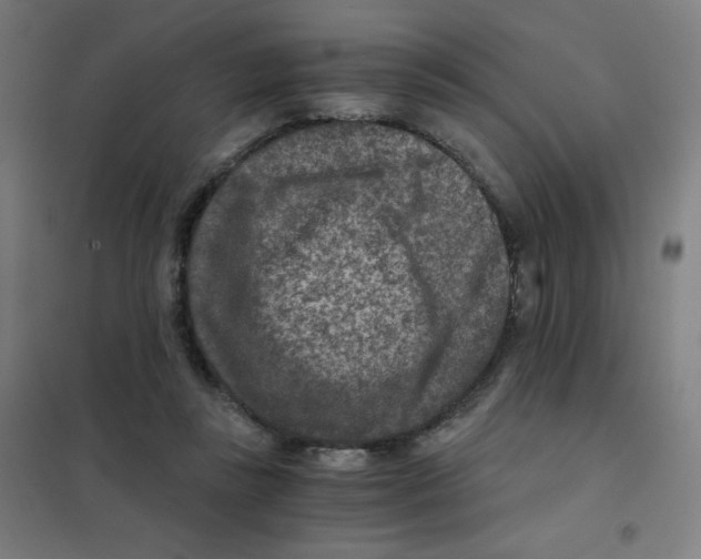 X0000101440355200808041220