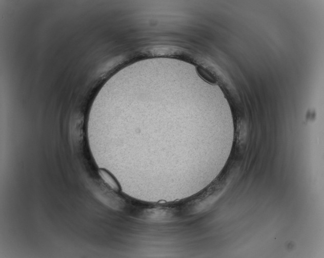 X0000101440356200808041220
