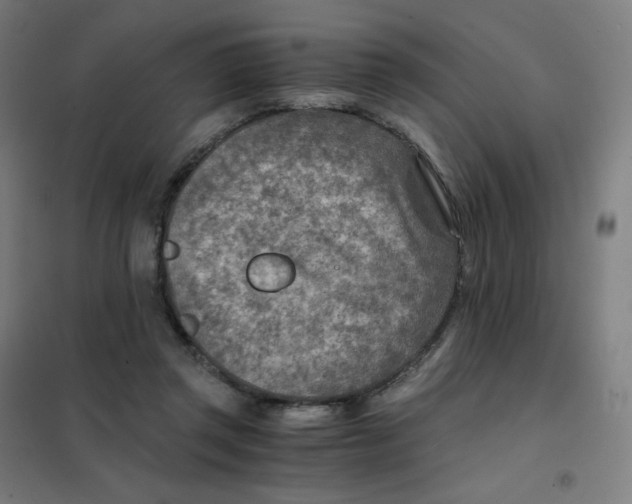 X0000101440357200808041220