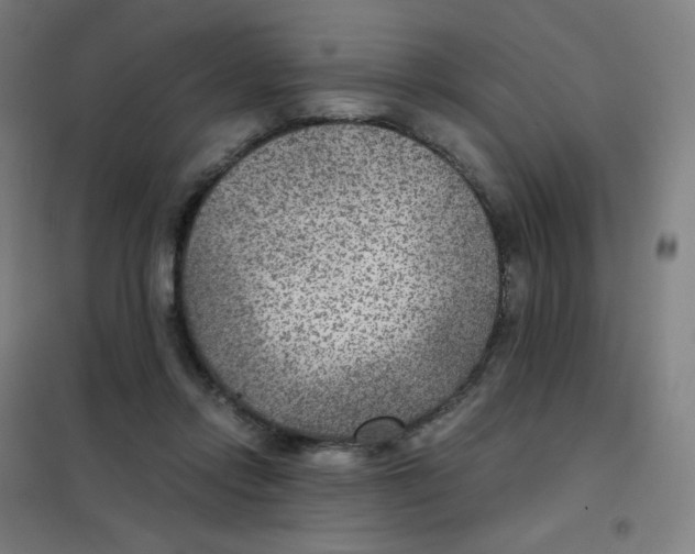 X0000101440358200808041220