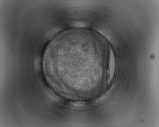 X0000101440359200808041220