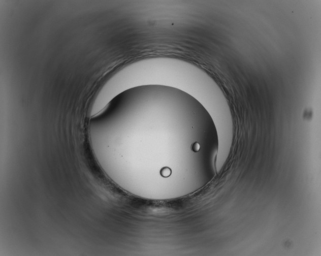 X0000101440360200808041220