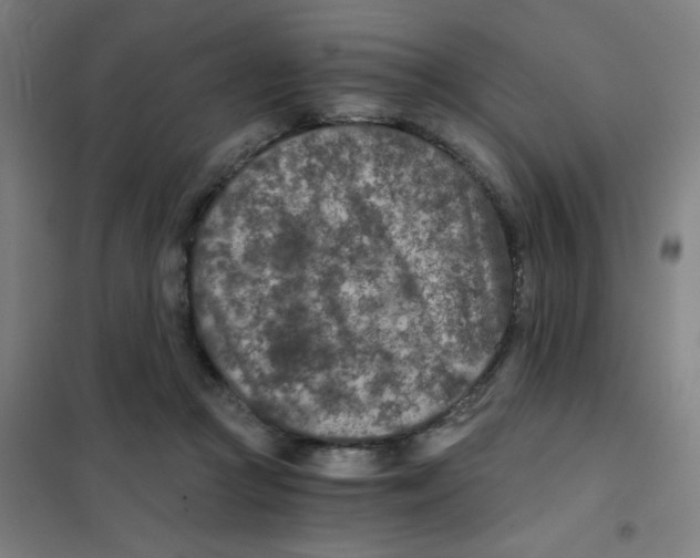 X0000101440361200808041220