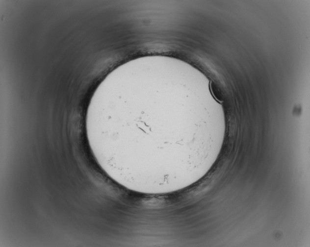 X0000101440362200808041220