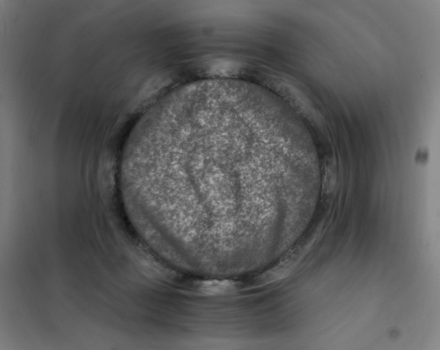 X0000101440363200808041220