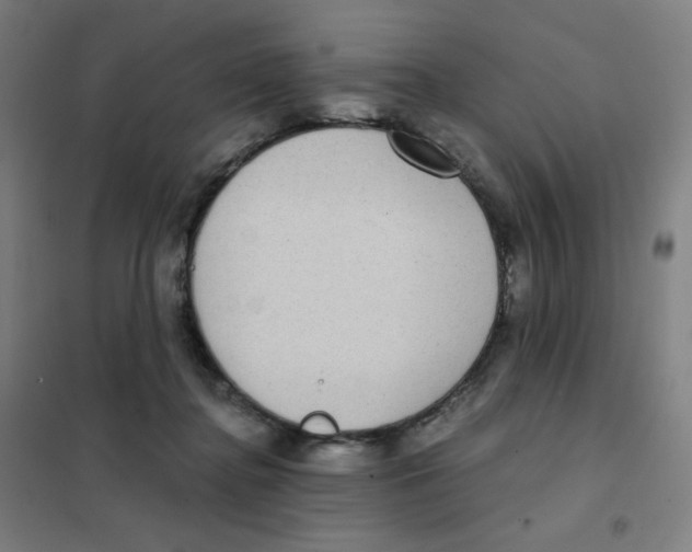 X0000101440364200808041220