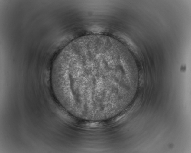 X0000101440365200808041220