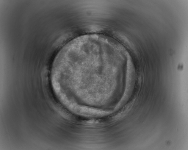X0000101440366200808041220
