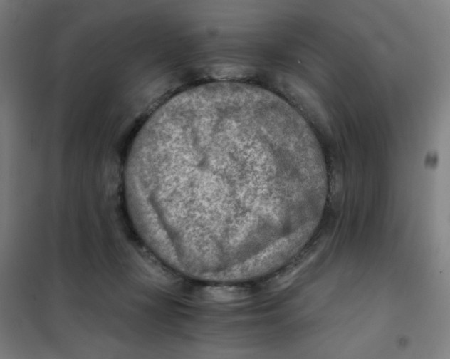 X0000101440367200808041220