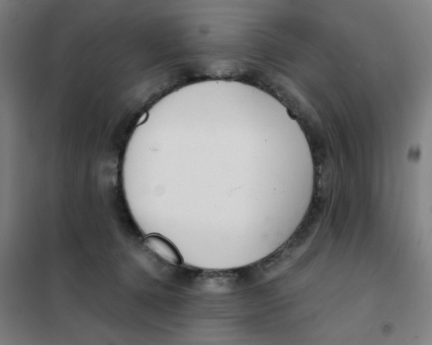 X0000101440368200808041220