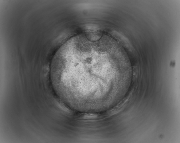 X0000101440369200808041220