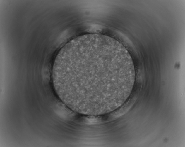 X0000101440370200808041220