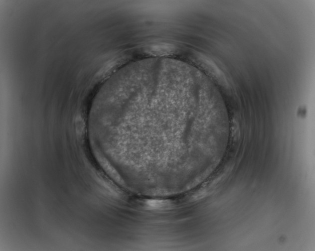 X0000101440371200808041220