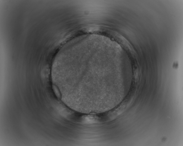 X0000101440372200808041220