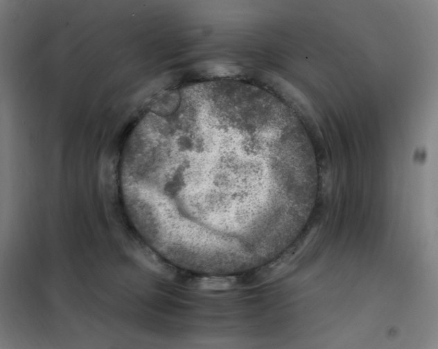 X0000101440373200808041220