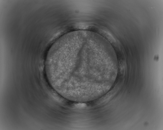 X0000101440374200808041220
