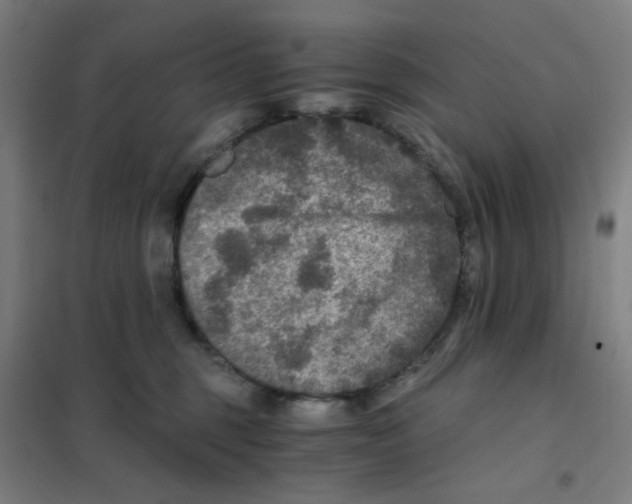 X0000101440375200808041220