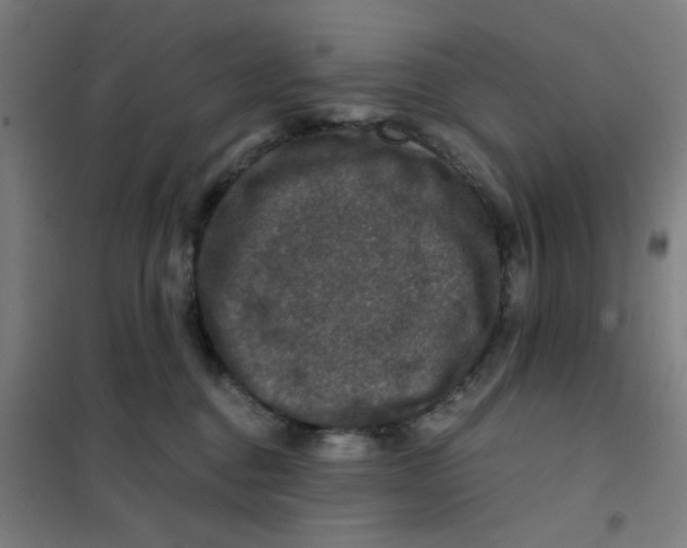 X0000101440376200808041220