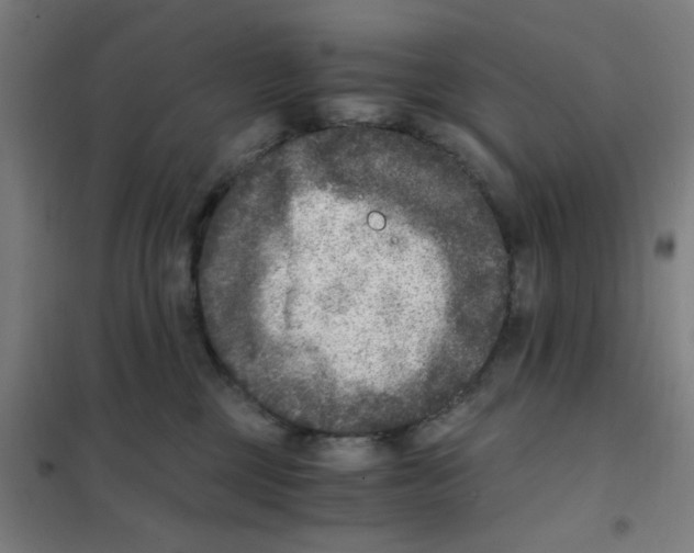 X0000101440377200808041220