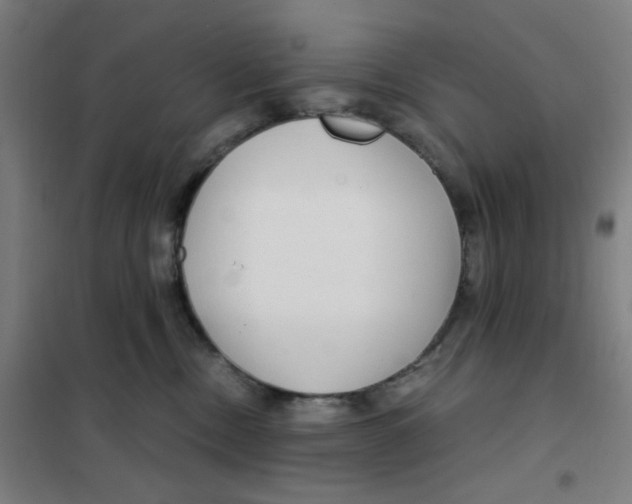 X0000101440378200808041220