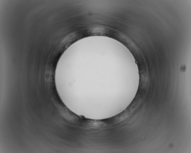 X0000101440379200808041220