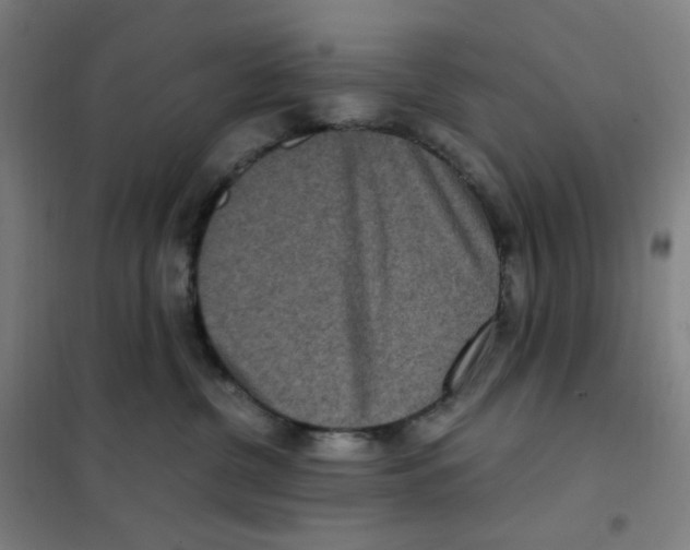 X0000101440380200808041220