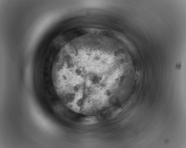 X0000101440381200808041220
