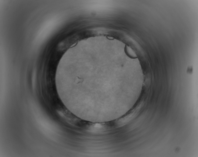 X0000101440382200808041220