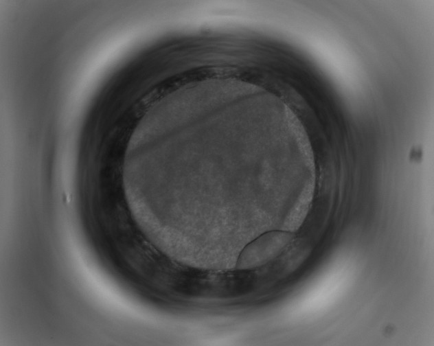 X0000101440383200808041220