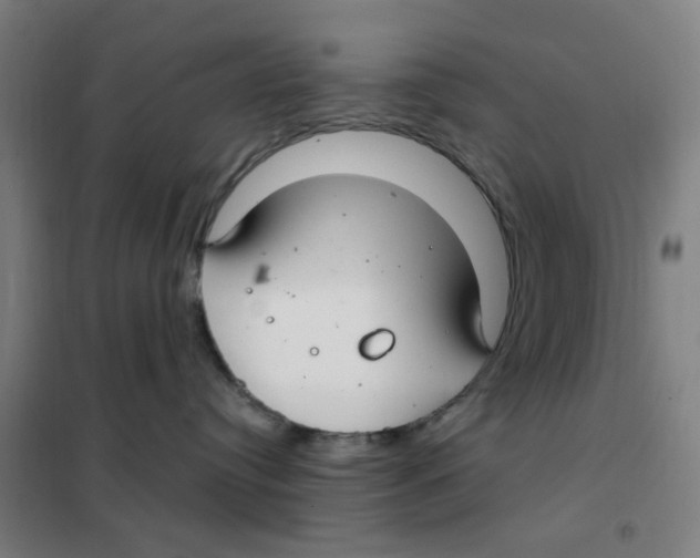 X0000101440384200808041220