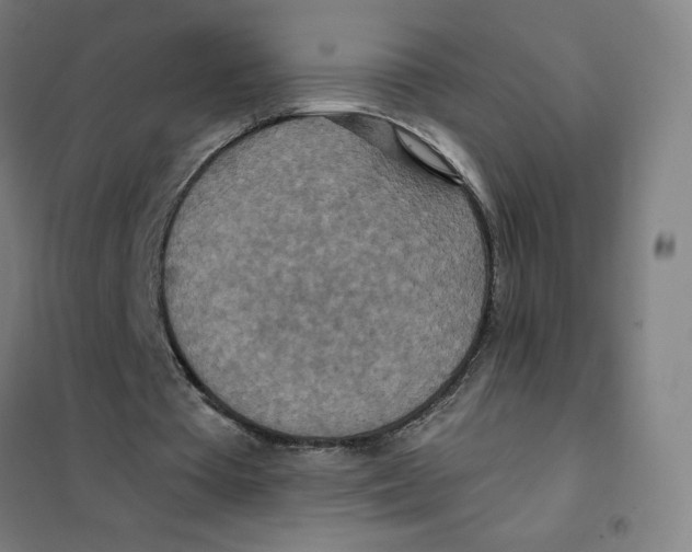 X0000101440385200808041220