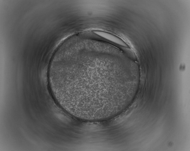 X0000101440386200808041220