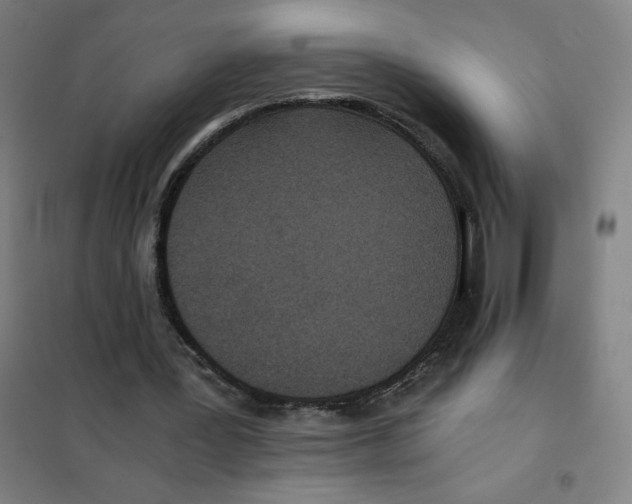 X0000101440387200808041220