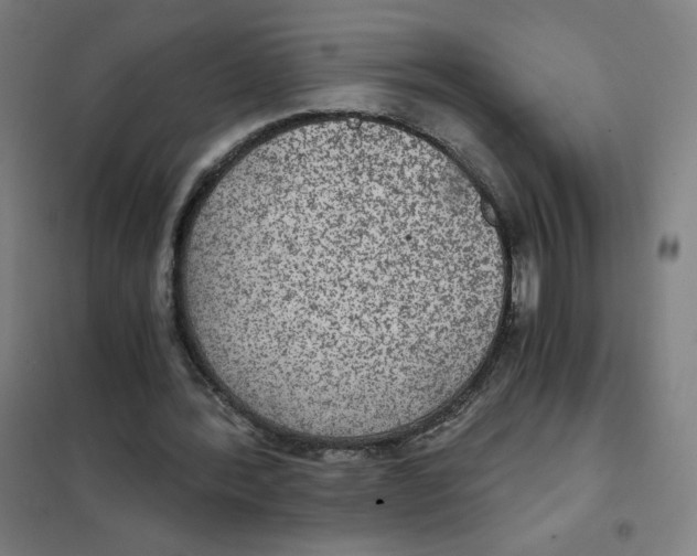 X0000101440388200808041220