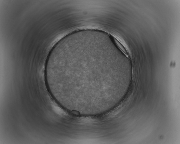 X0000101440389200808041220