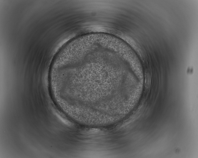 X0000101440390200808041220