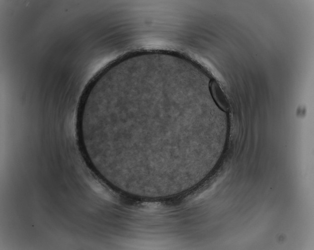 X0000101440391200808041220