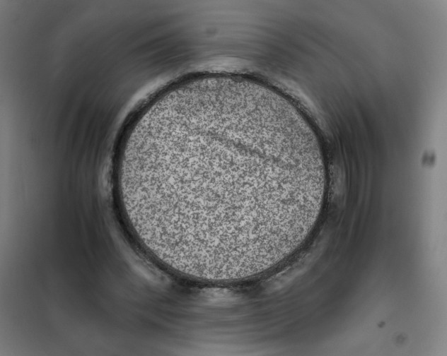 X0000101440392200808041220